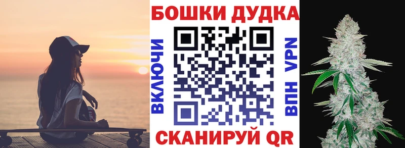 где купить наркоту  Карачев  blacksprut   Шишки марихуана план 